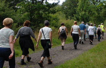 Health and Wellbeing Practitioners Image